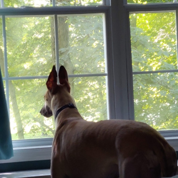 Happy Poshing! - Picture 12 of 13